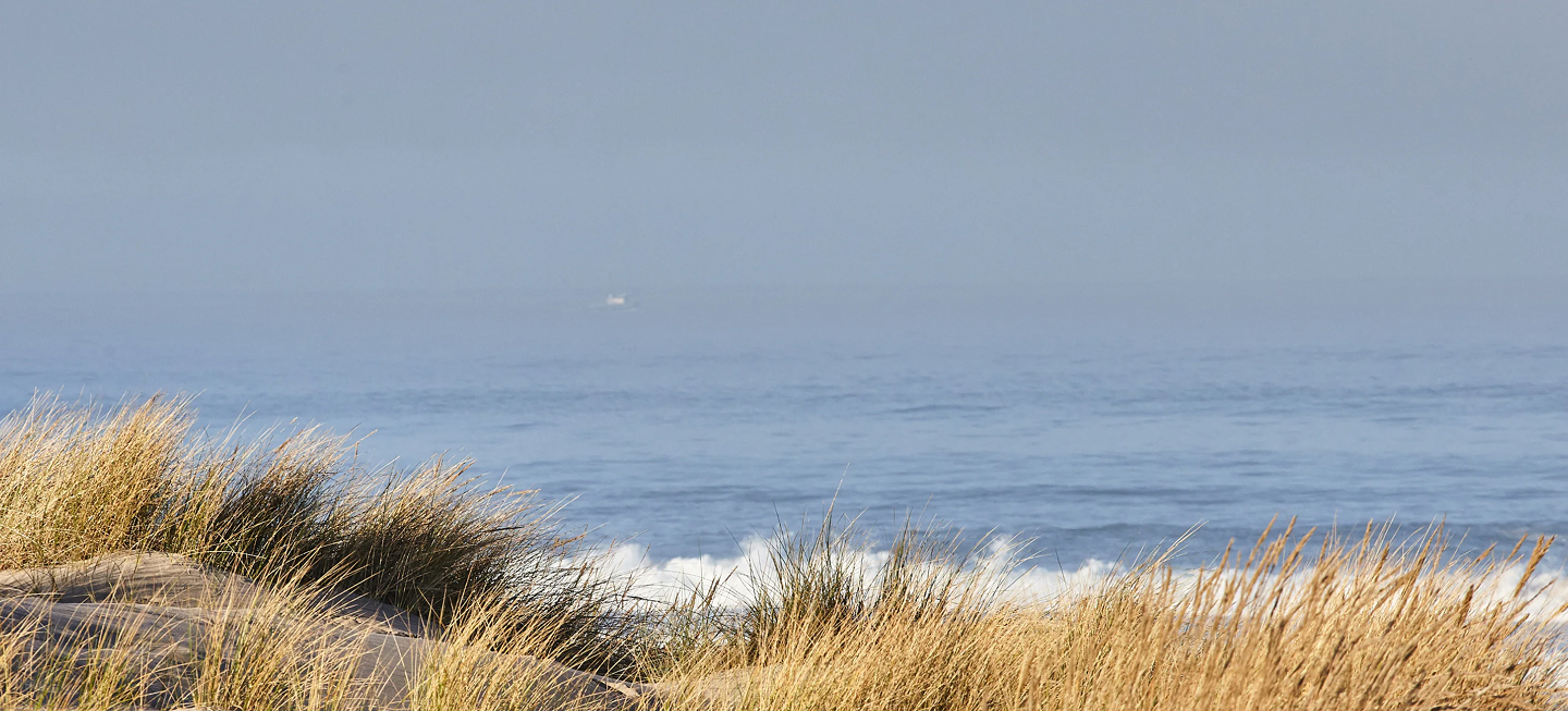 POCZUJ<br />
BLISKOŚĆ<br />
MORZA